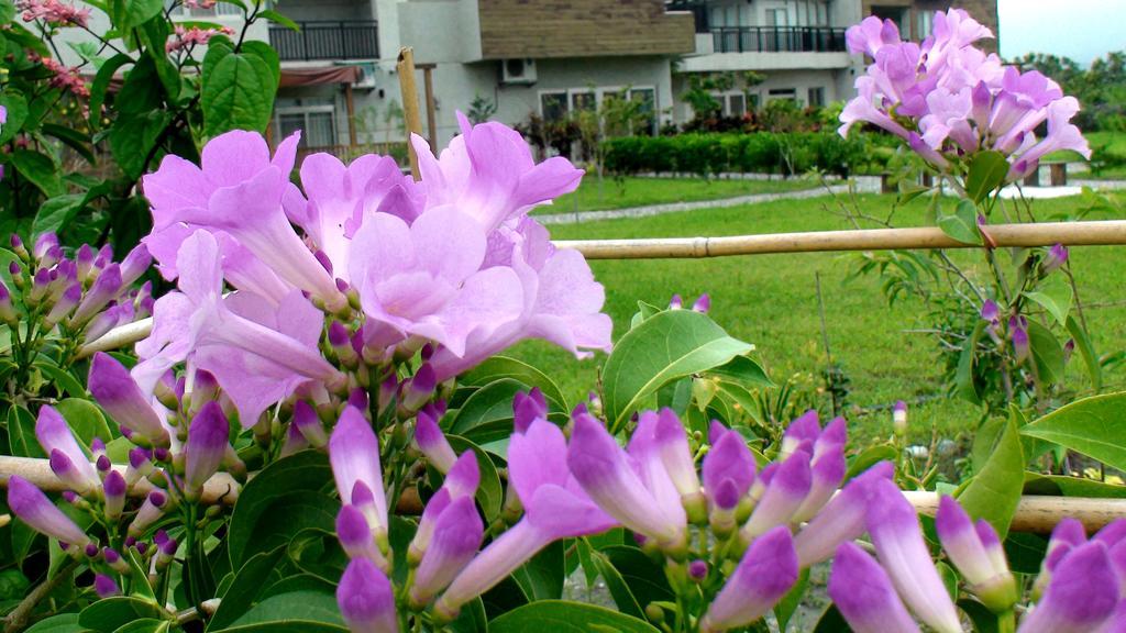 Maple Feeling Vacation Farm Guest House Guangfu Bagian luar foto